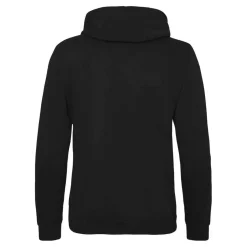 AWDIS JH020 - Sweat à capuche lourd