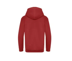AWDIS JH201J - Sweat capuche en coton Biologique enfant