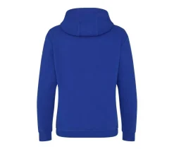 AWDIS JUST HOODS JH101 - Sweat À Capuche Lourd Graduate