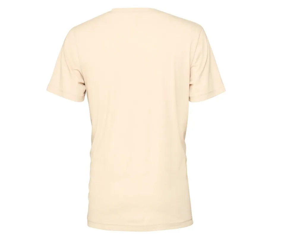 Bella+Canvas BE3001CVC - T-SHIRT HOMME COL ROND