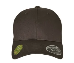 FLEXFIT F110OC - Casquette en coton organique
