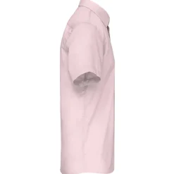 Kariban K551 - ACE ><noscript><img width=