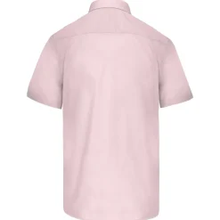 Kariban K551 - ACE ><noscript><img width=