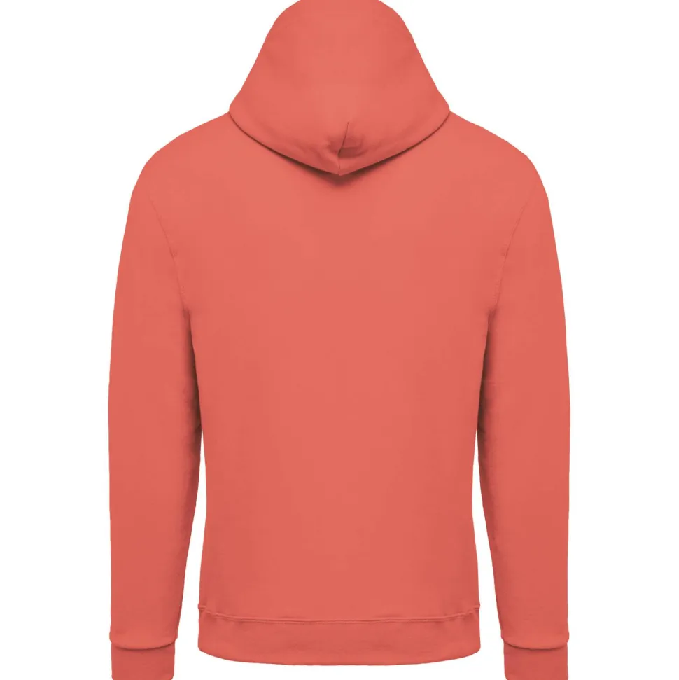 Kariban K476 - Sweat-shirt capuche homme