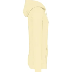 Kariban K476 - Sweat-shirt capuche homme
