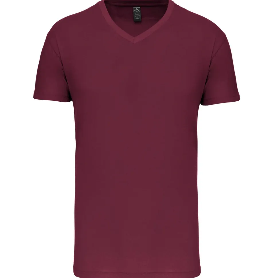 Kariban K3028IC - T-shirt Bio150IC col V homme