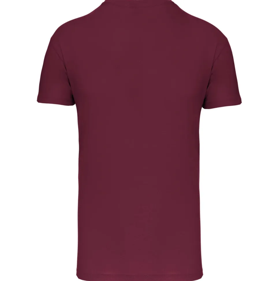 Kariban K3028IC - T-shirt Bio150IC col V homme