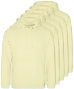 Pack de 5 AWDis Just Hoods JH001 - Sweat à Capuche Confort et Style Unisexe