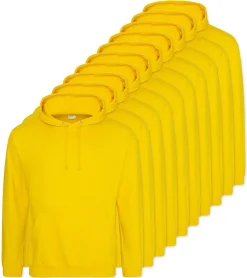 Pack de 10 AWDis Just Hoods JH001 - Sweat à Capuche Confort et Style Unisexe