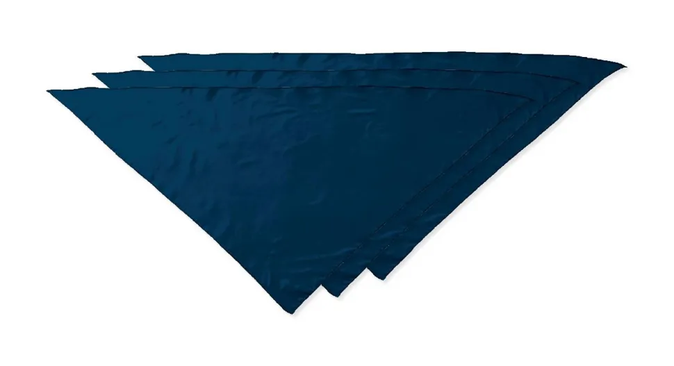 Pack de 30 Valento PNVAFIE - Foulard triangulaire FIESTA