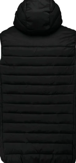 Proact PA237 - Bodywarmer à capuche adulte