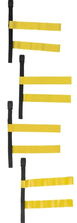 ProAct PA666 - Ceinture Réglable avec Boucle et Bandes Scratch