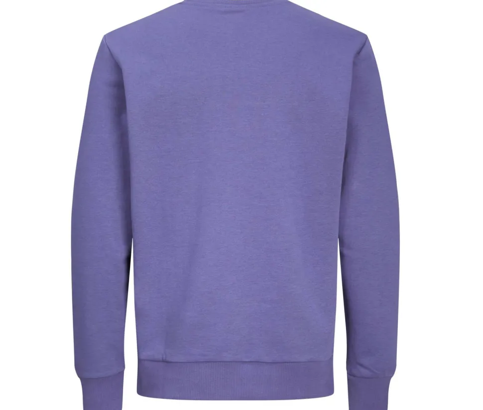 PRODUKT JACK & JONES JJ3900 - Sweat col rond unisexe