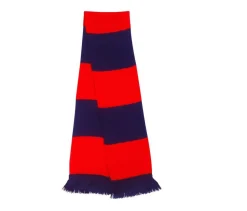 Result RS146 - Écharpe Douce et Colorée RS146