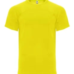 Roly CA6401 - MONACO - T-shirt Technique Mixte à Manches Raglan