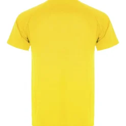 Roly CA0425 - MONTECARLO T-shirt technique manches courtes raglan