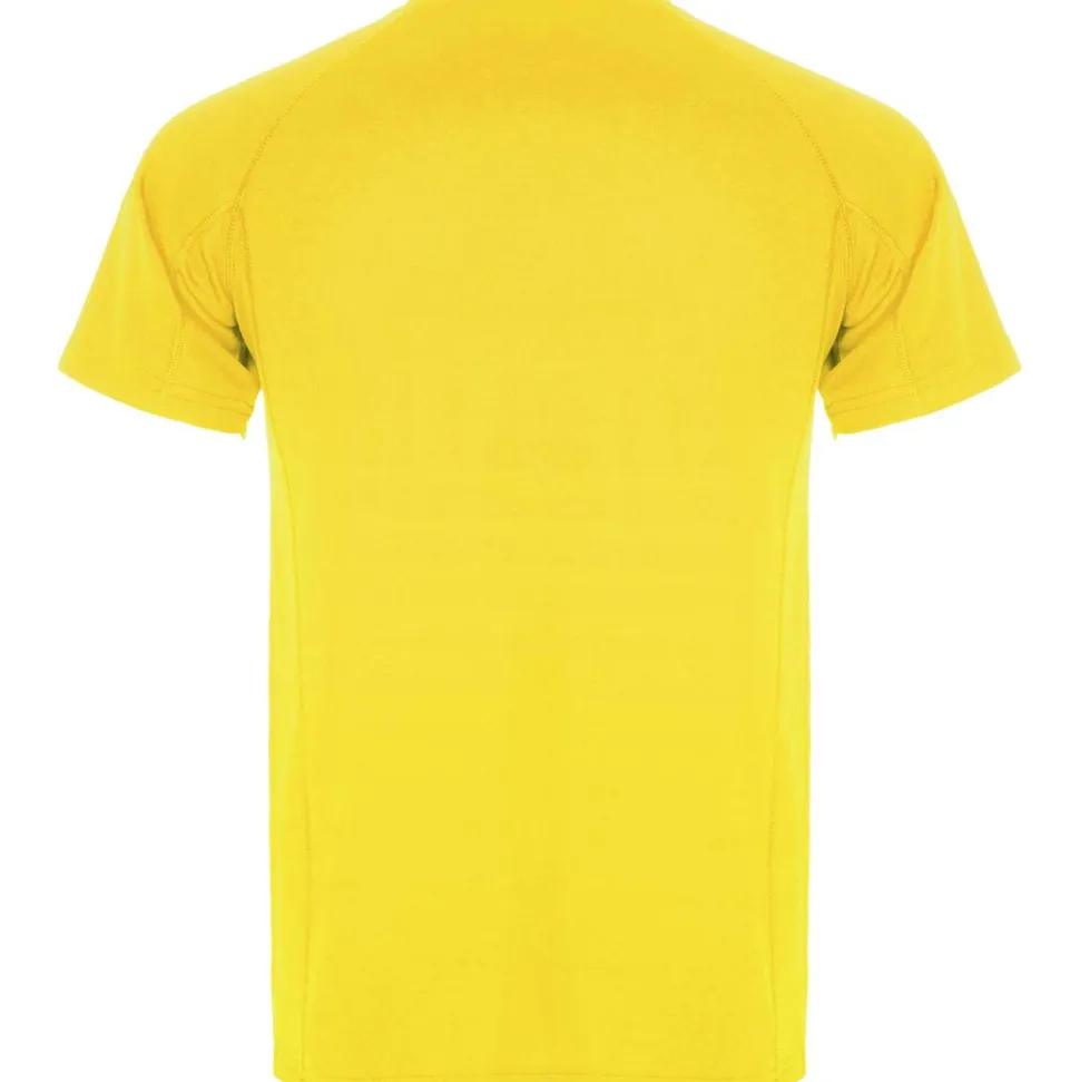 Roly CA0425 - MONTECARLO T-shirt technique manches courtes raglan