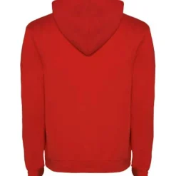 Roly R1067 - Sweat à capuche Urban pour homme