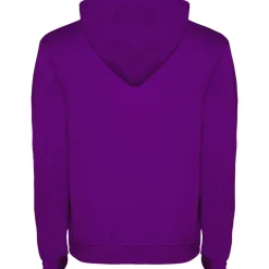 Roly R1067 - Sweat à capuche Urban pour homme