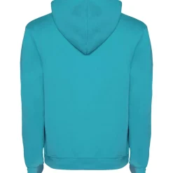 Roly R1067 - Sweat à capuche Urban pour homme