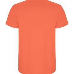 Roly R6681 - T-shirt Stafford à manches courtes pour homme