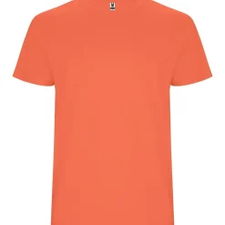 Roly R6681 - T-shirt Stafford à manches courtes pour homme