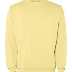Roly SU2203 - JAYA Sweatshirt unisexe à col rond en coton lavé non gratté