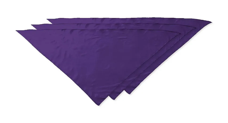Pack de 30 Valento PNVAFIE - Foulard triangulaire FIESTA
